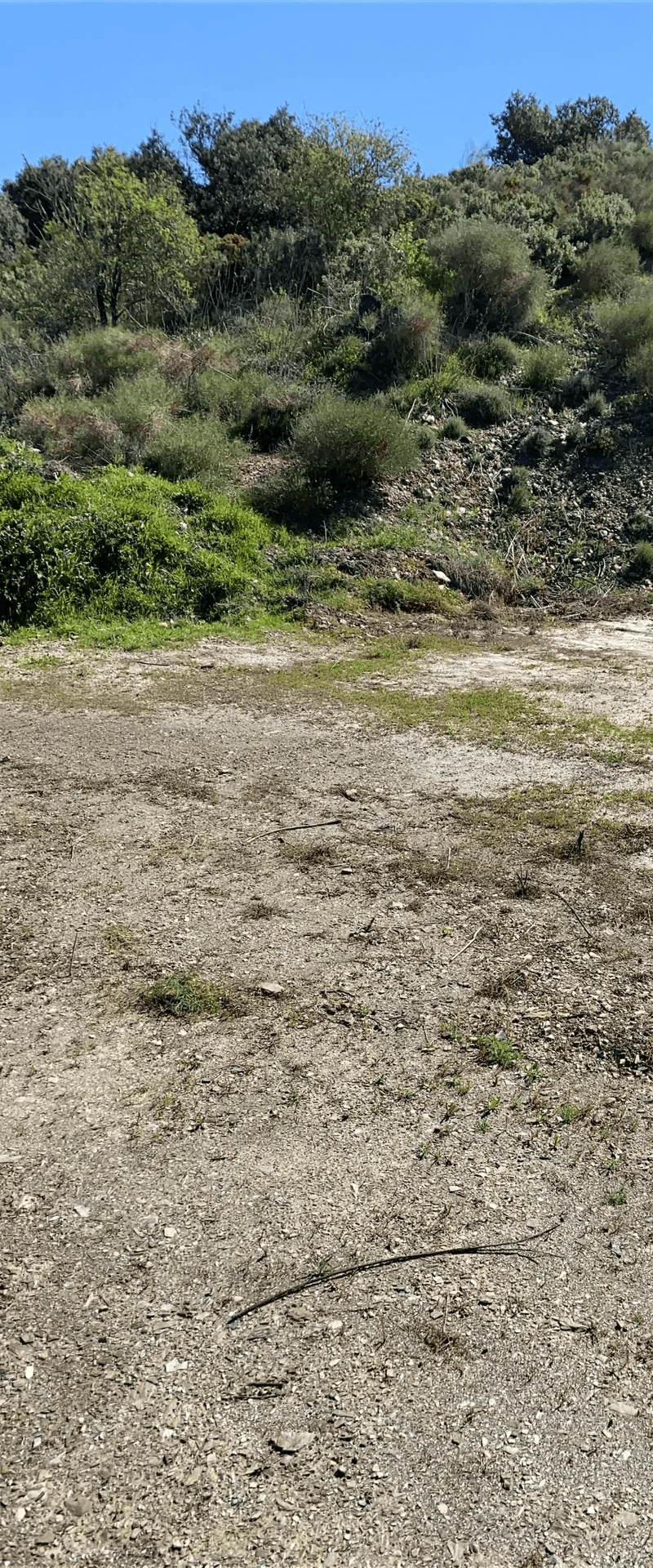 House - Finca - Cortijo en Venta en Alora