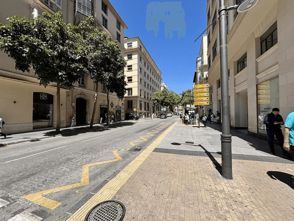 Oportunidad de inversión: Edificio de 9 habitaciones en Málaga Centro Histórico