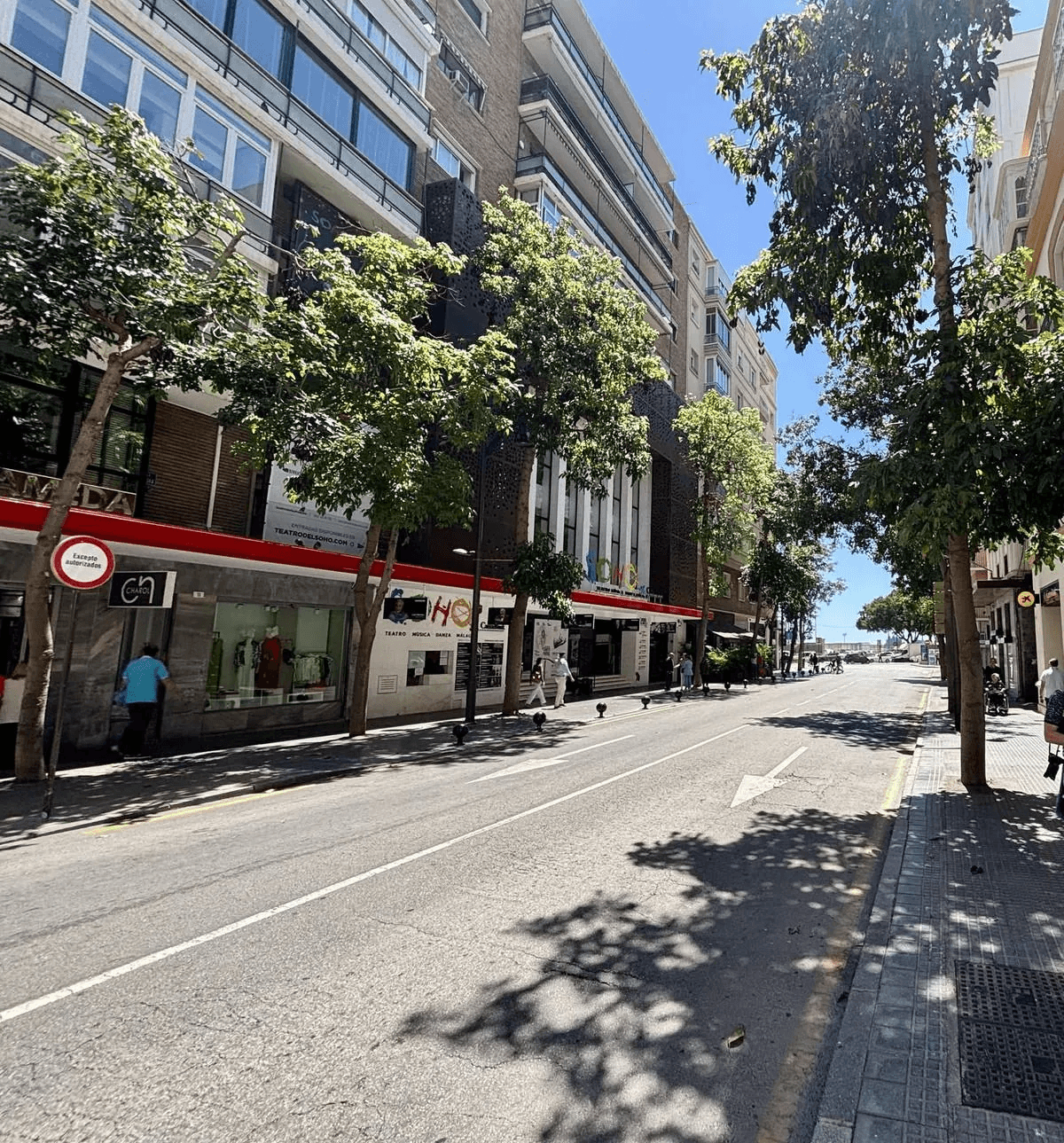 Oportunidad de inversión: Edificio de 9 habitaciones en Málaga Centro Histórico