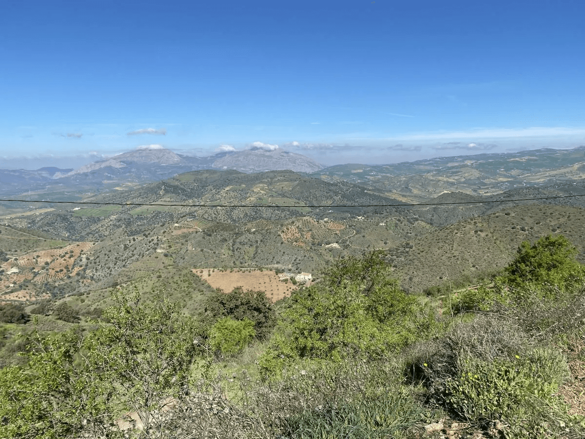 House - Finca - Cortijo en Venta en Alora
