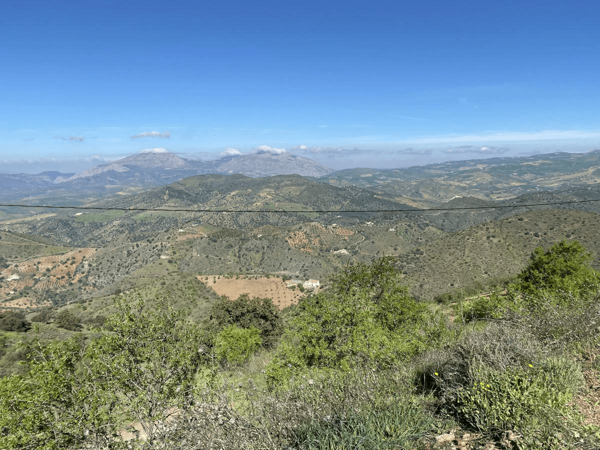 House - Finca - Cortijo en Venta en Alora