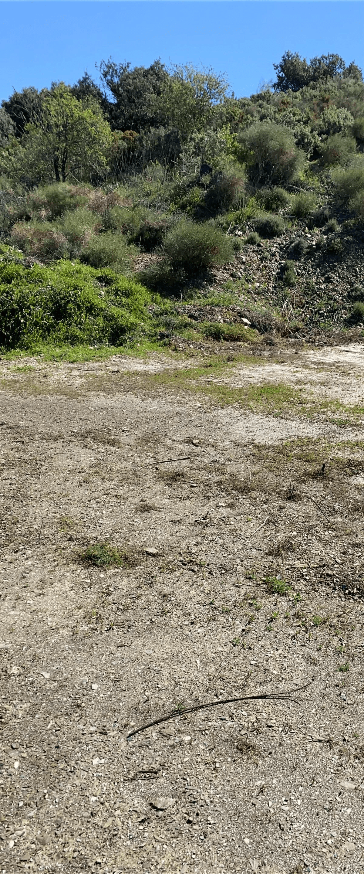House - Finca - Cortijo en Venta en Alora