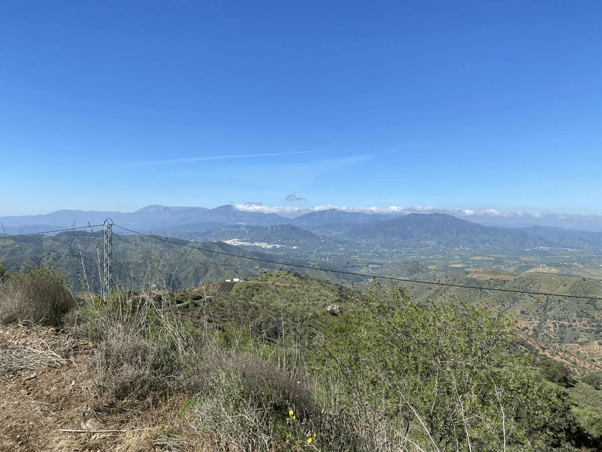 House - Finca - Cortijo en Venta en Alora