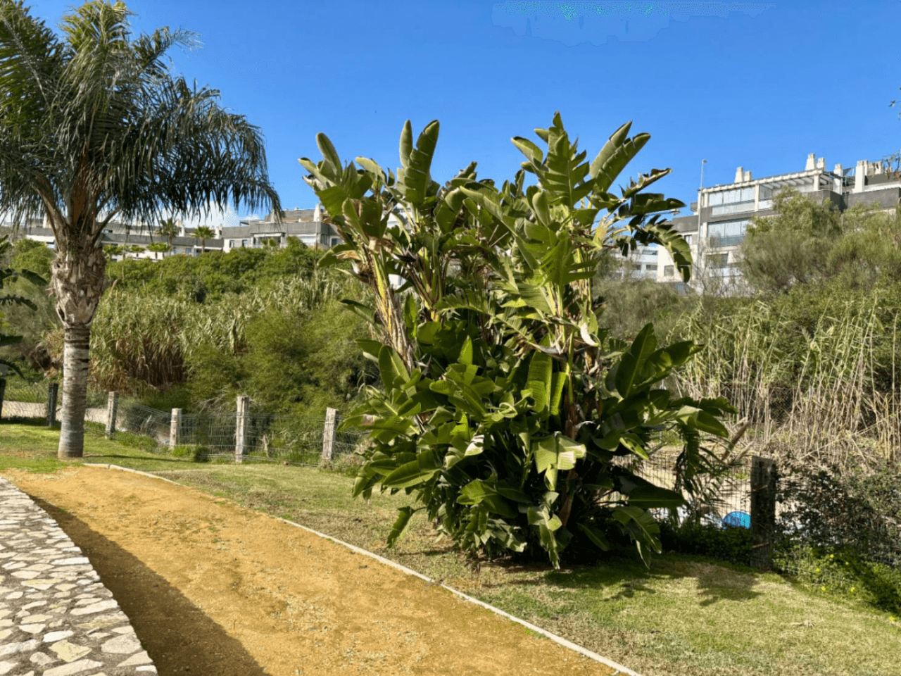 Casa adosada en venta de 3 dormitorios en Málaga